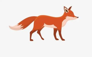 鹰和狐狸的读后感5篇