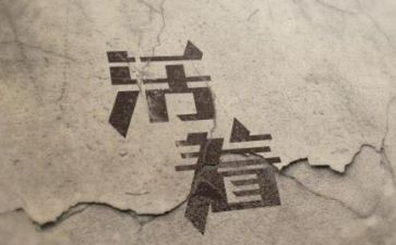读活着的读后感300字5篇
