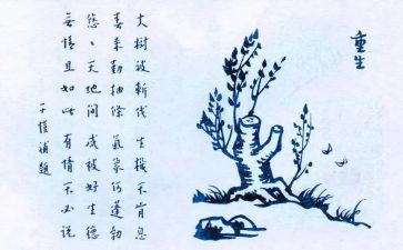 用生命守护生命作文优秀6篇