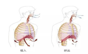 呼吸内科工作计划5篇