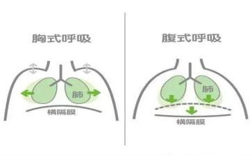 呼吸科护士长述职报告2023最新6篇