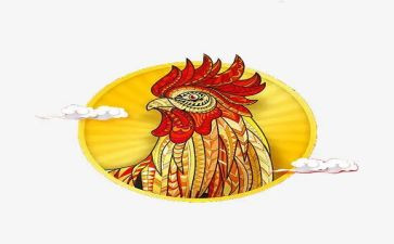 鸡的市场调研报告优秀6篇