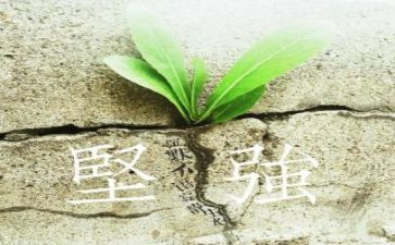 他坚强了作文500字作文最新5篇