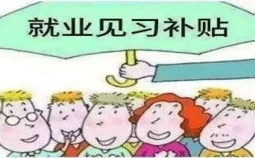 教师见习工作总结范文8篇