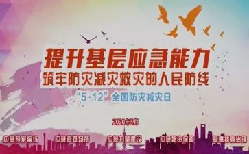 减灾委工作总结精选8篇