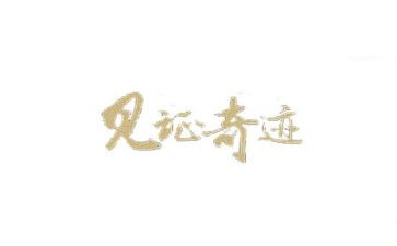 见证的作文推荐5篇