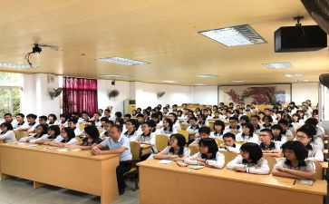 小学政教处工作计划7篇