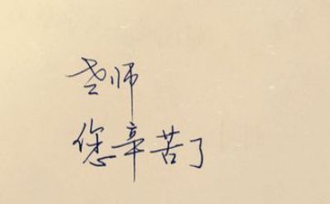 教师工作总结2000字8篇