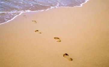 幼儿园中班小脚印教案7篇