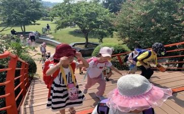 幼儿园郊游活动方案7篇