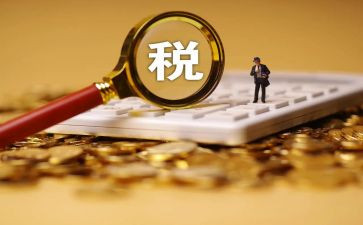 稽查的工作总结7篇