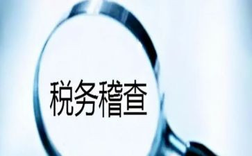 年终稽查工作总结6篇