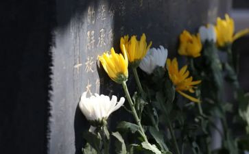 清明节祭奠先烈活动总结8篇