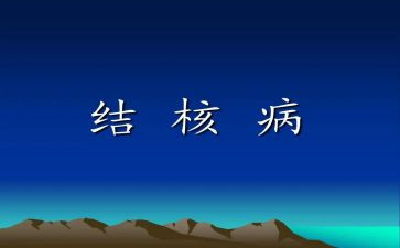 结核病活动总结6篇