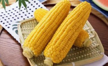 玉米种购销合同6篇