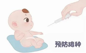接种室个人总结6篇
