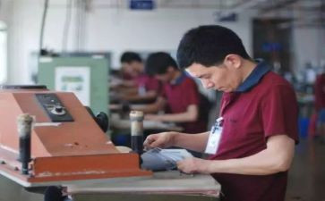 乡科技工作总结参考5篇