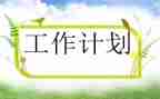 计划员工作总结及2024年工作计划8篇