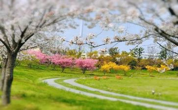 季节作文500字5篇