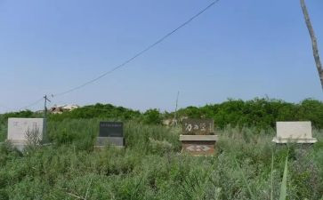 参观冀鲁边心得体会7篇