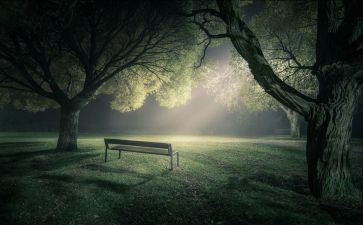 静的作文优秀6篇