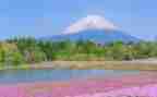 写景类作文600字精选7篇