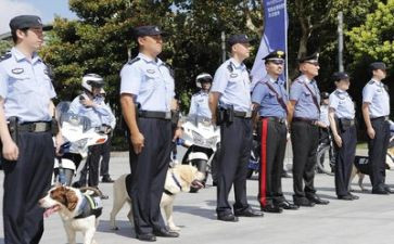警察个人年度总结8篇