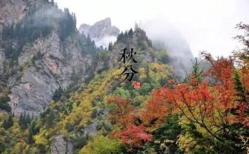 二十节气读后感7篇