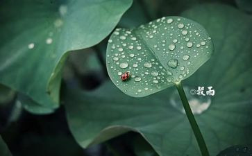节气作文优秀7篇