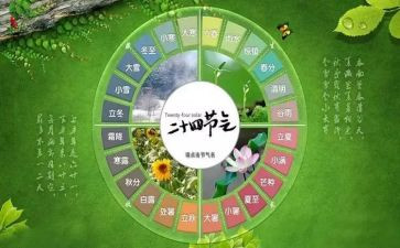 24节气活动总结8篇