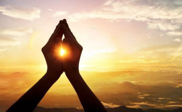 敬畏生命善待动物演讲稿5篇