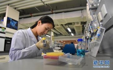 技术部述职报告优秀8篇