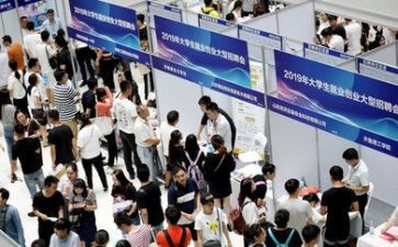 大学生与就业心得体会优质6篇