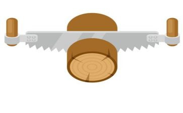 小班锯木头教案5篇