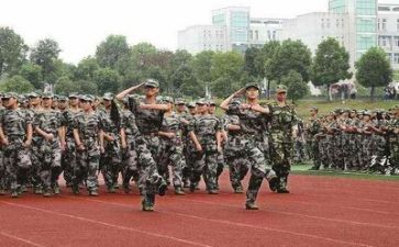 关于军训的作文5篇