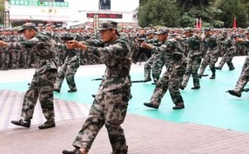 军训后心得作文模板5篇