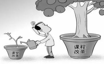 关于课改的心得体会8篇