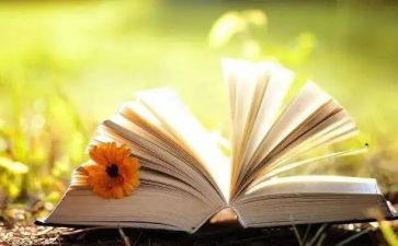 课外阅读的心得优秀6篇