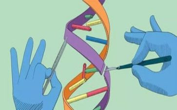 科学故事读后感精选6篇