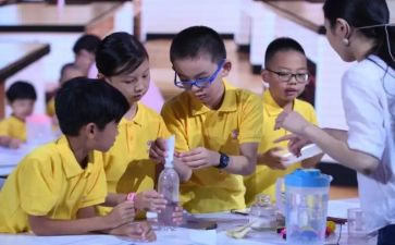 小学科学课心得参考5篇