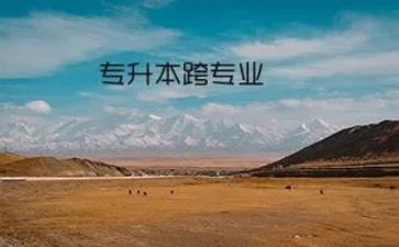 跨专业实训报告心得体会8篇