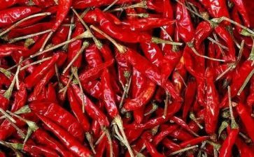 学校的辣作文500字优质6篇