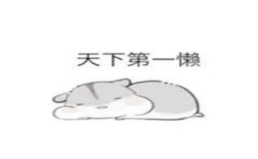 有关懒的演讲稿推荐5篇