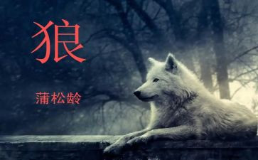 《狼》教案精选6篇