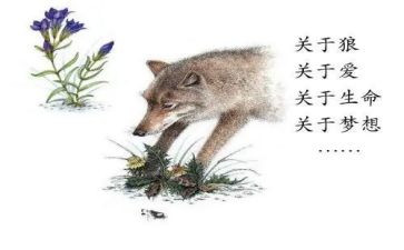 狼王梦读后感600字作文6篇