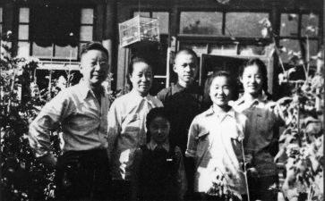 猫老舍读后感优秀8篇