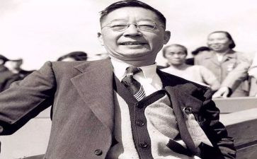 猫老舍读后感8篇