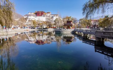 把铁路修到拉萨去读后感7篇