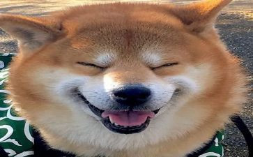 音乐教师晋职称述职报告6篇