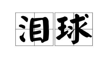 感恩的泪的作文最新8篇